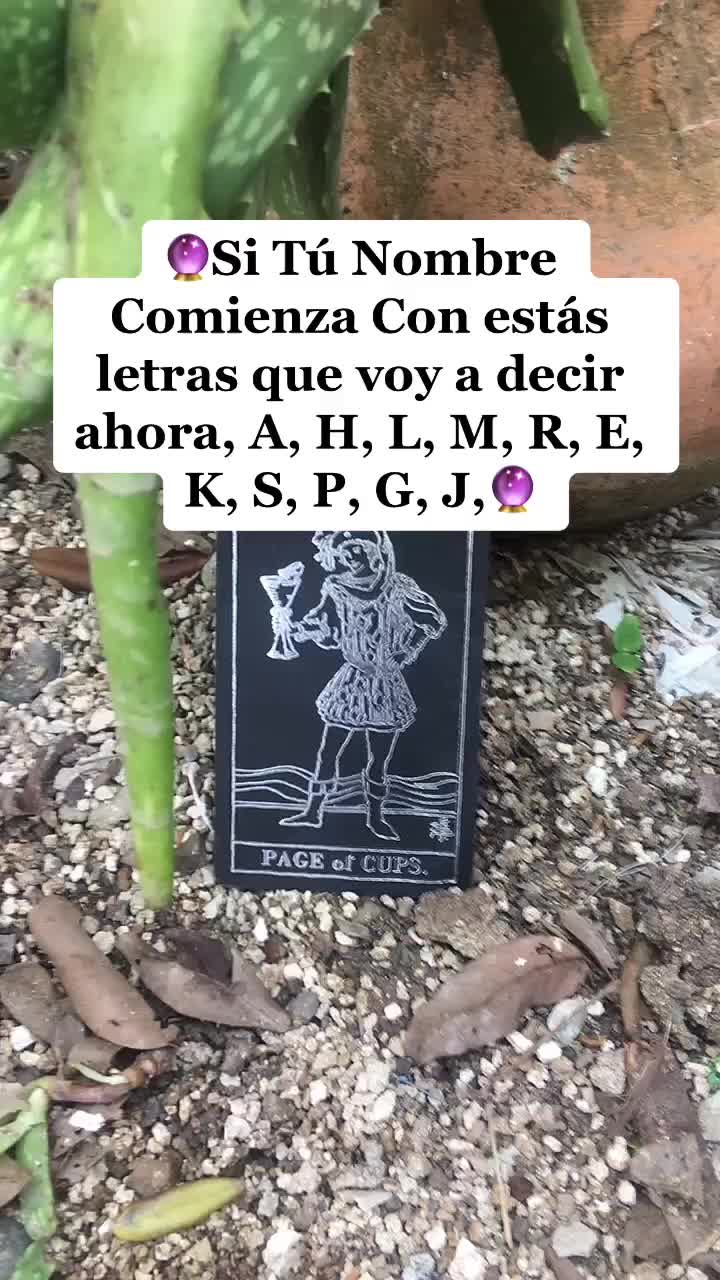 Tarot_Rosario18